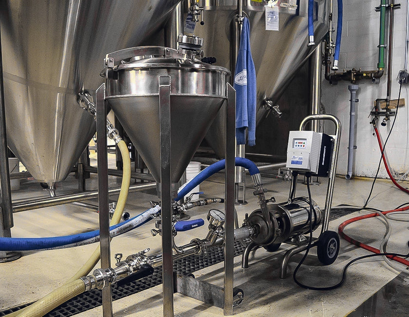 Dry Hopping Techniques