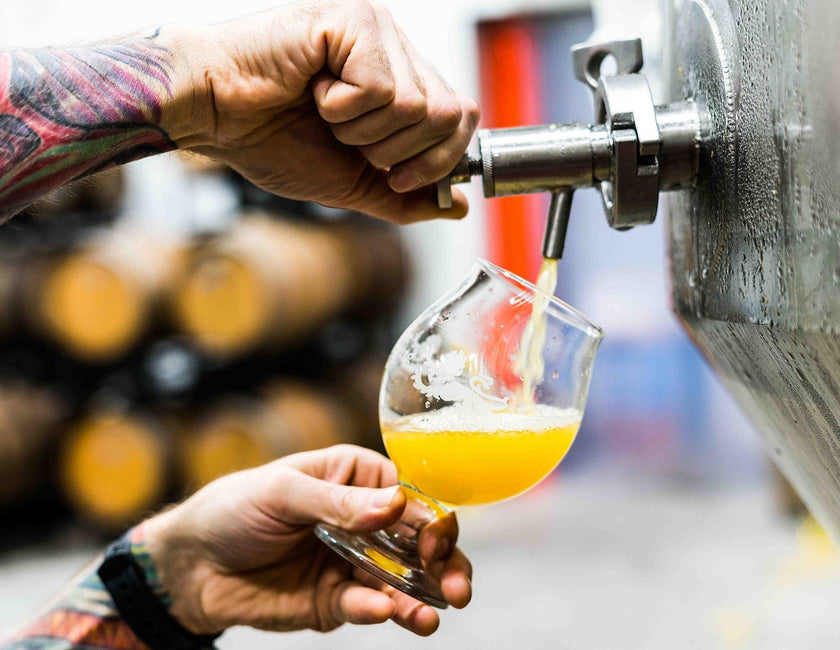 The Microbrew 100: A Premium Pump for Microbreweries