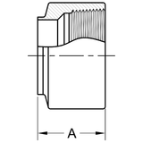 22WB - Butt-Weld X Female NPT Adapter - Machine Finish