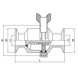 Spring Check Valve