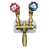Thermostatic Temperature-Limiting Steam & Cold Water Mixing Station